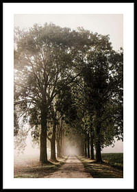 Morning Road-0