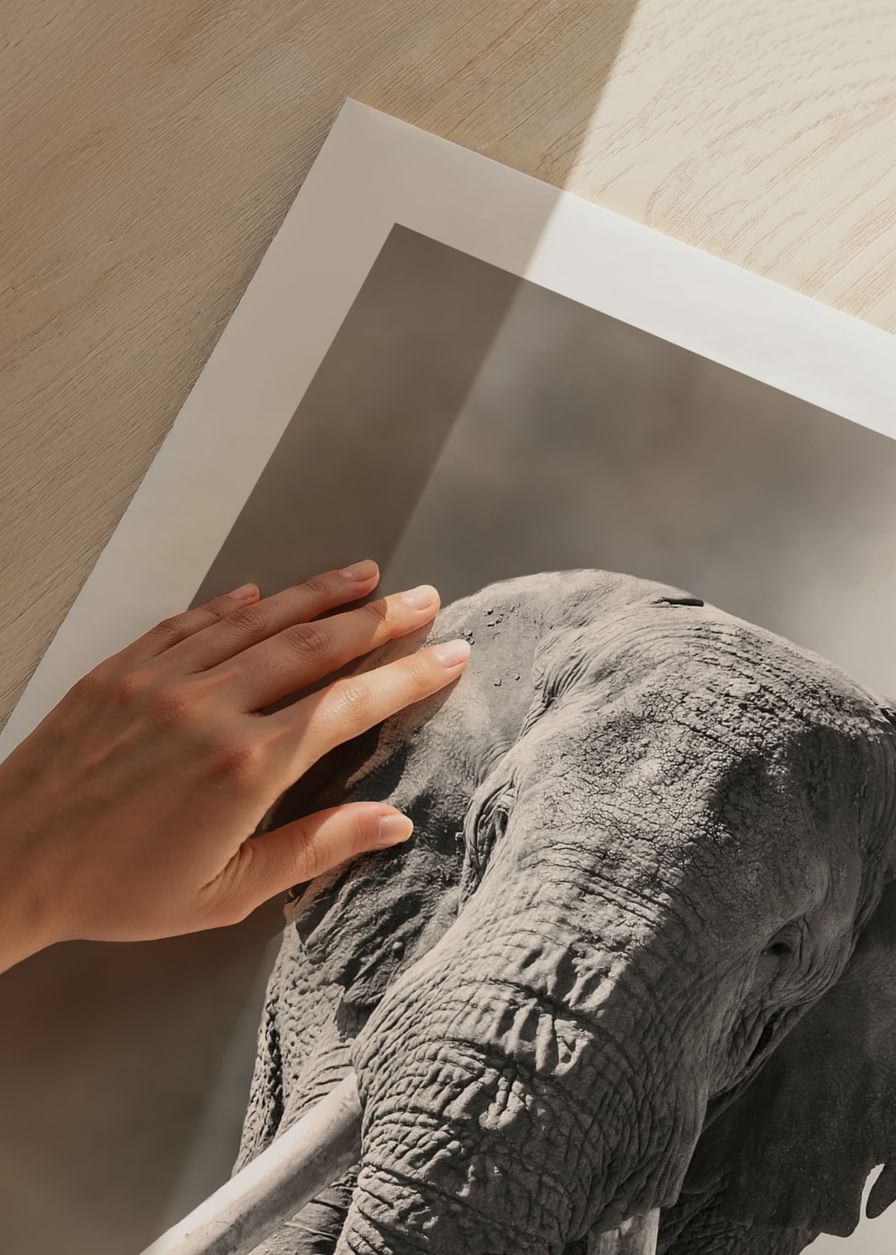 Elephant Tusks-12
