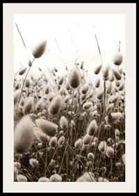 Close-up of reed-like blades of grass with soft brown tones-2