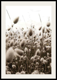 Primo piano di fili d'erba simili a canne con tenui toni marroni-2