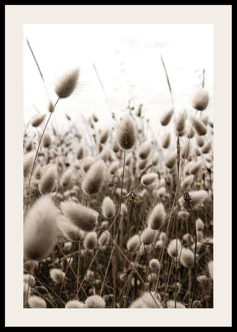 Primo piano di fili d'erba simili a canne con tenui toni marroni-12