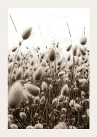 Close-up of reed-like blades of grass with soft brown tones-3