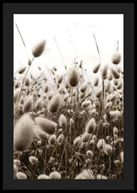 Close-up of reed-like blades of grass with soft brown tones-4
