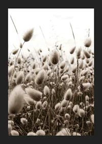 Close-up of reed-like blades of grass with soft brown tones-5