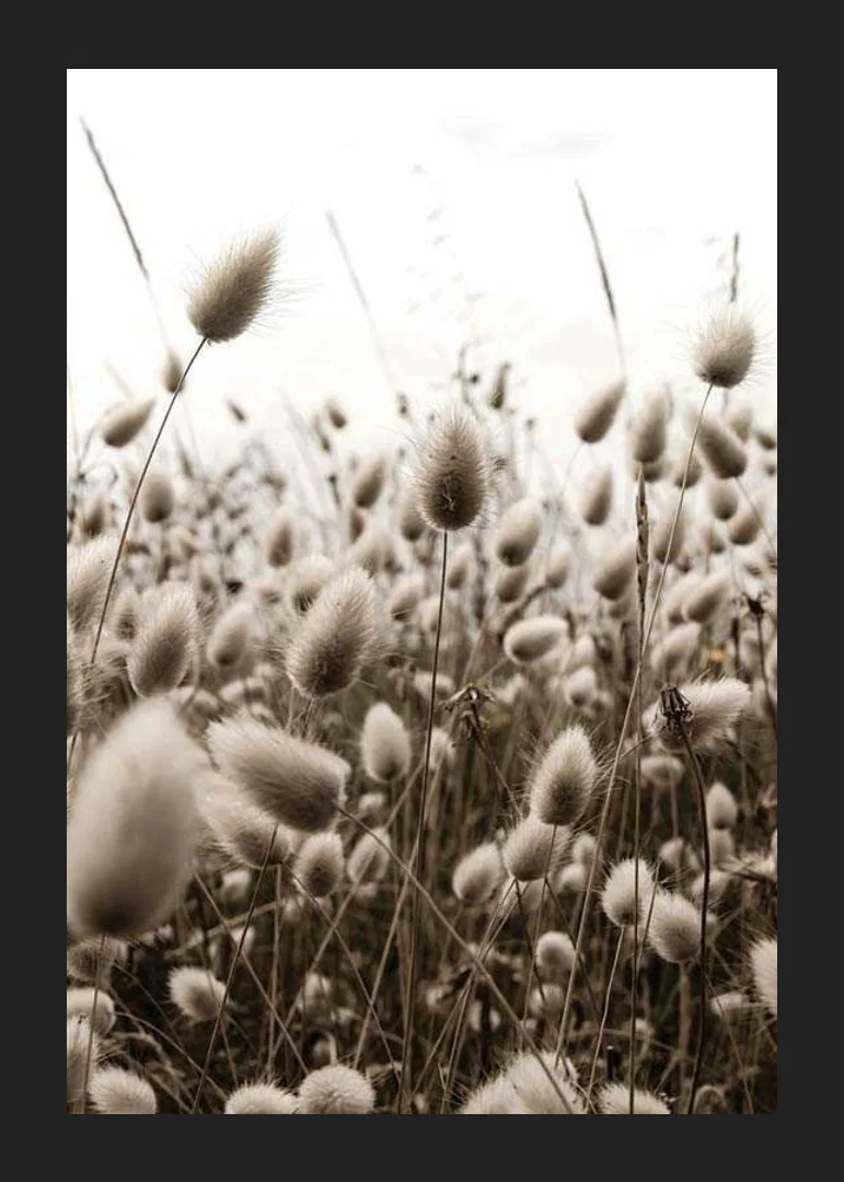 Close-up of reed-like blades of grass with soft brown tones-12