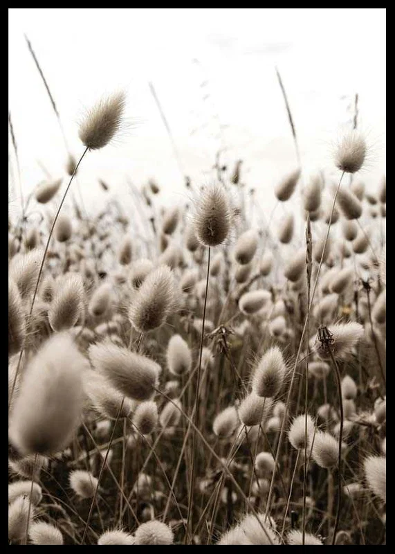 Close-up of reed-like blades of grass with soft brown tones-12