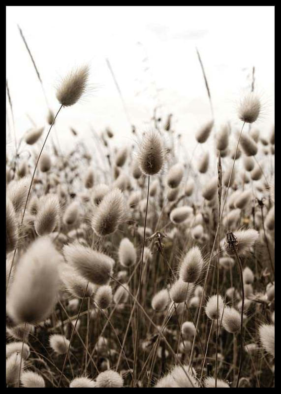 Reeds Field-12