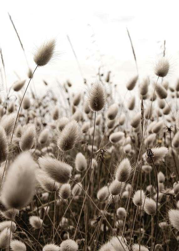 Reeds Field-12