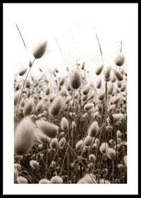 Close-up of reed-like blades of grass with soft brown tones-0