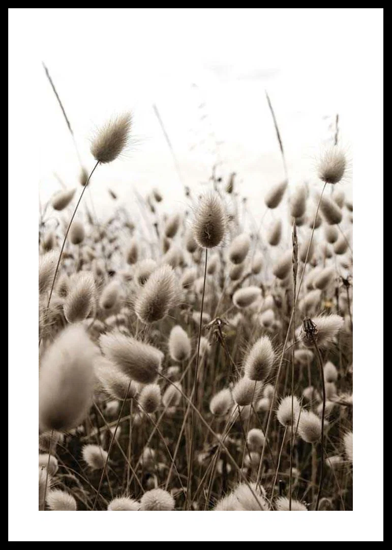 Close-up of reed-like blades of grass with soft brown tones-12