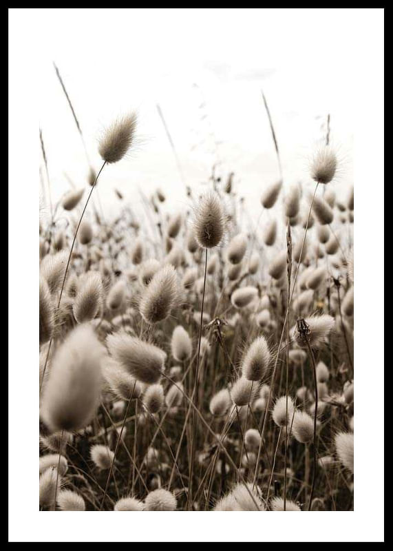 Reeds Field-12