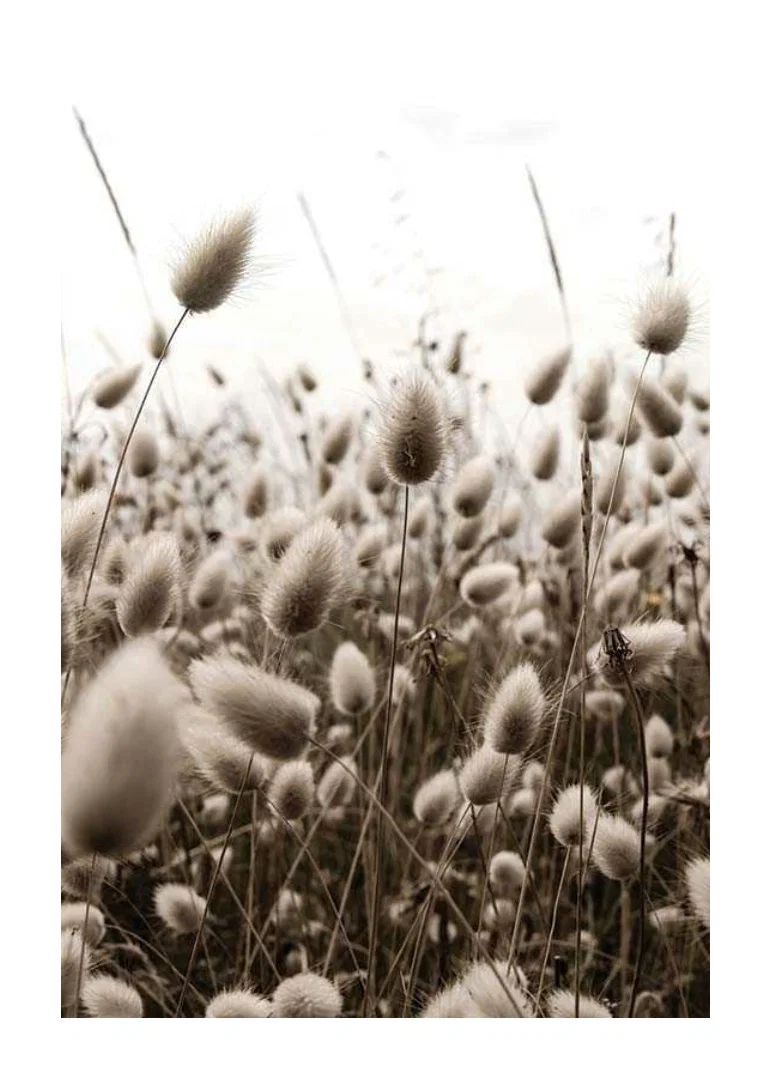 Close-up of reed-like blades of grass with soft brown tones-12