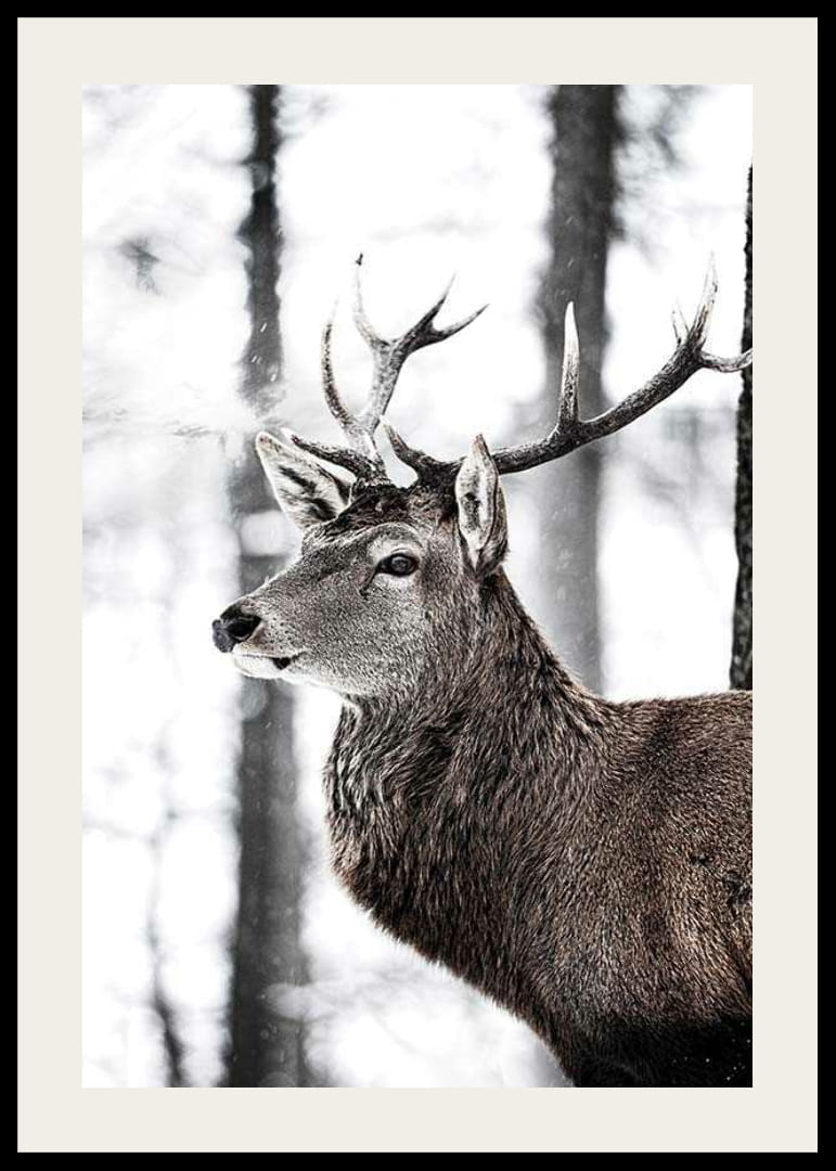 Detailný záber jeleňa s veľkými parohmi v zasneženom lesnom prostredí-12