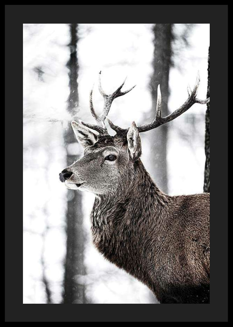 Detailný záber jeleňa s veľkými parohmi v zasneženom lesnom prostredí-12