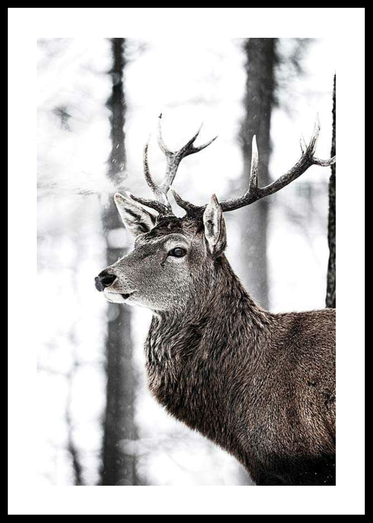 Close-up of deer with large antlers in snowy forest environment-12