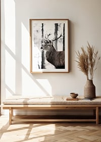 Close-up of deer with large antlers in snowy forest environment-8