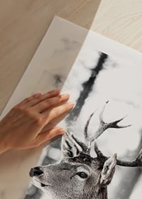 Close-up of deer with large antlers in snowy forest environment-9