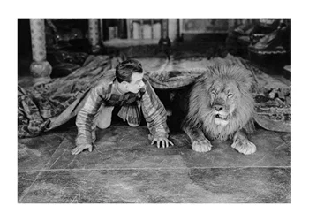 Poster Man And Lion