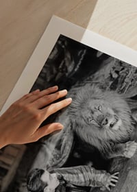 Black and white photograph of young man and lion on floor indoors-9