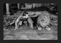 Black and white photograph of young man and lion on floor indoors-5