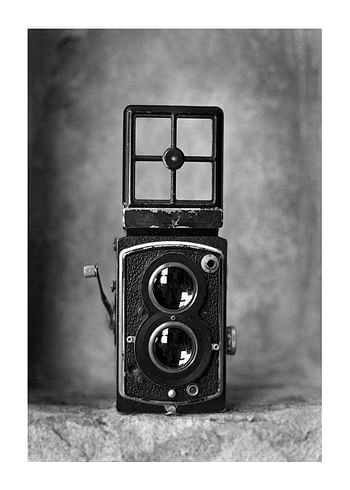 Poster Twin Lens Camera