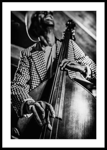 Poster Musician On Bass
