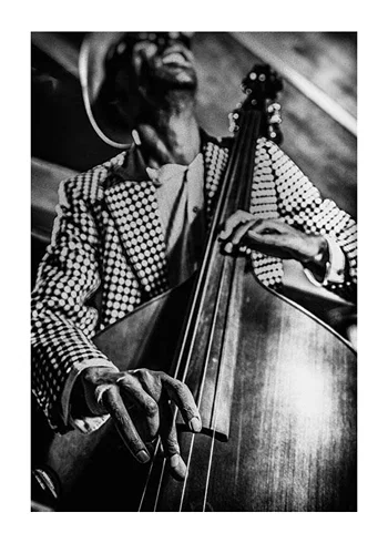 Poster Musician On Bass