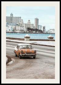 Fotografia oranžovo-bieleho veterána na promenáde-2