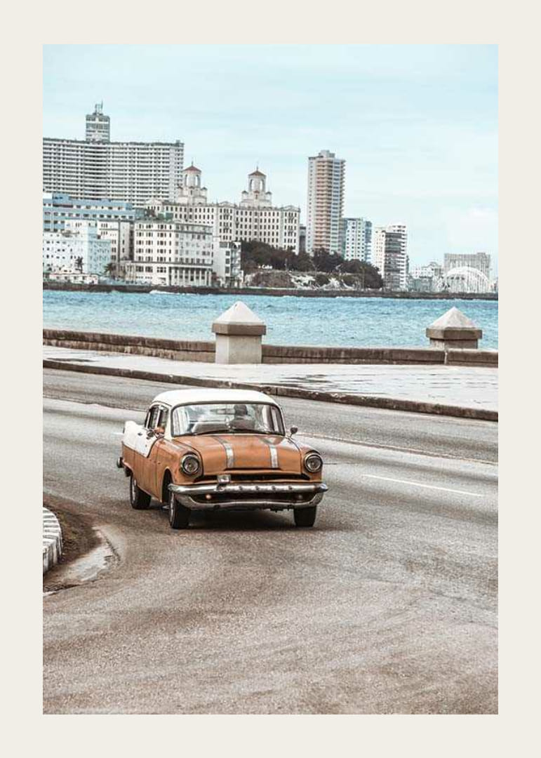 Fotografia oranžovo-bieleho veterána na promenáde-12