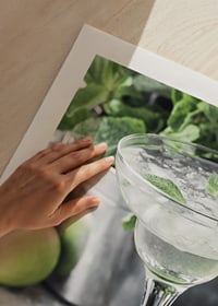 Photograph of margarita in glass with lime and mint leaves-9