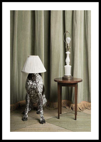 Poster Hiding In Plain Sight