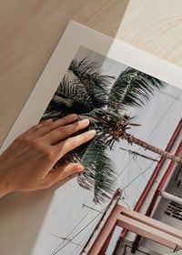 Fotografi av grön vintagebil framför pastellfärgat hus och palm-9