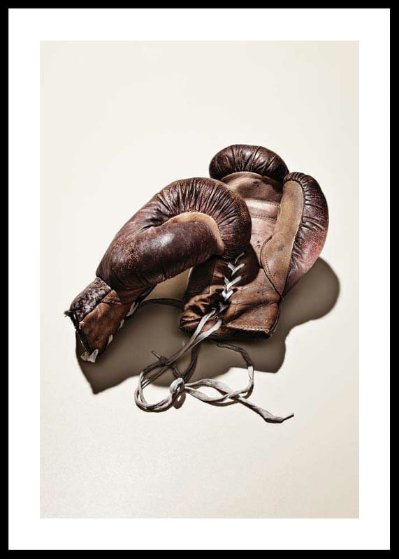 Boxing Gloves-12