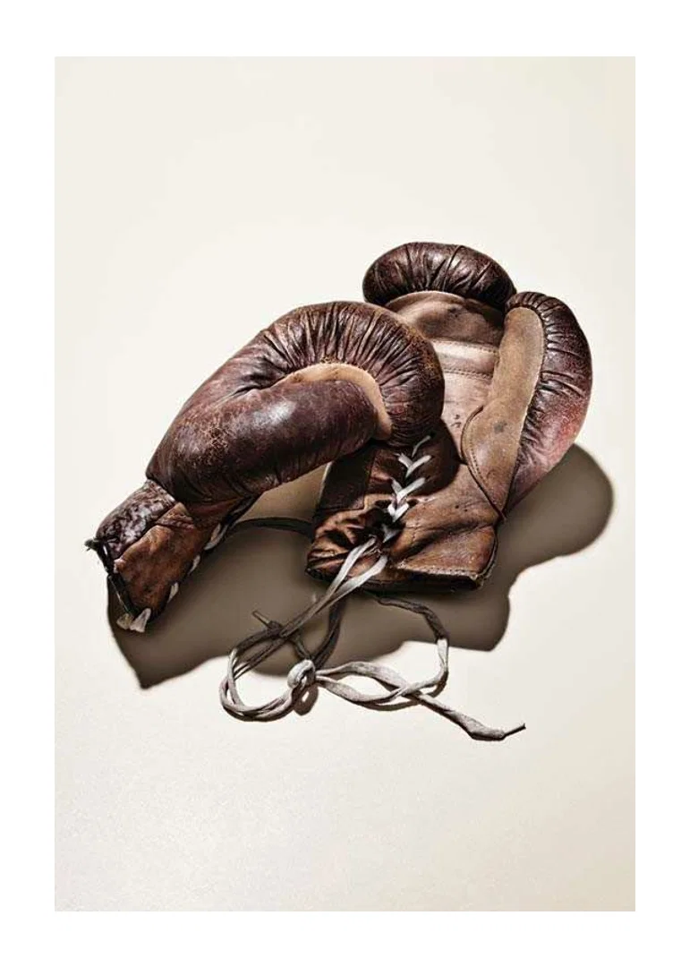 Photograph of worn brown boxing gloves on light background-12