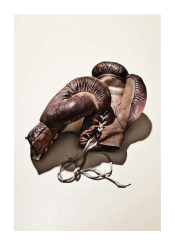 Plakatas Boxing Gloves