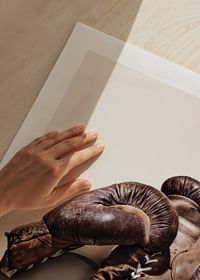Boxing Gloves-5