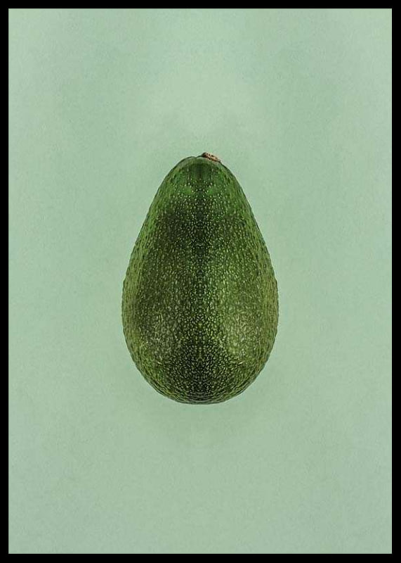 Photograph of whole green avocado against a solid green background-12