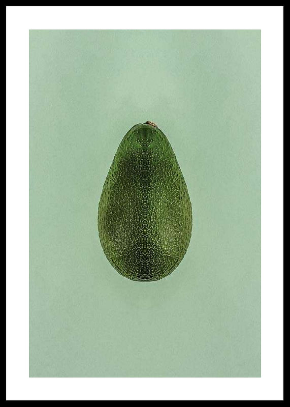 Avocado-12