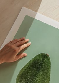 Photograph of whole green avocado against a solid green background-9