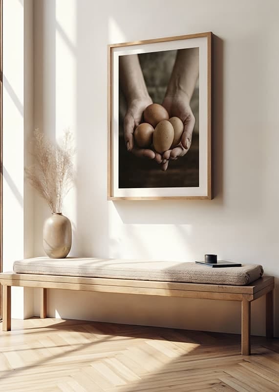  Free Range Eggs crossfade