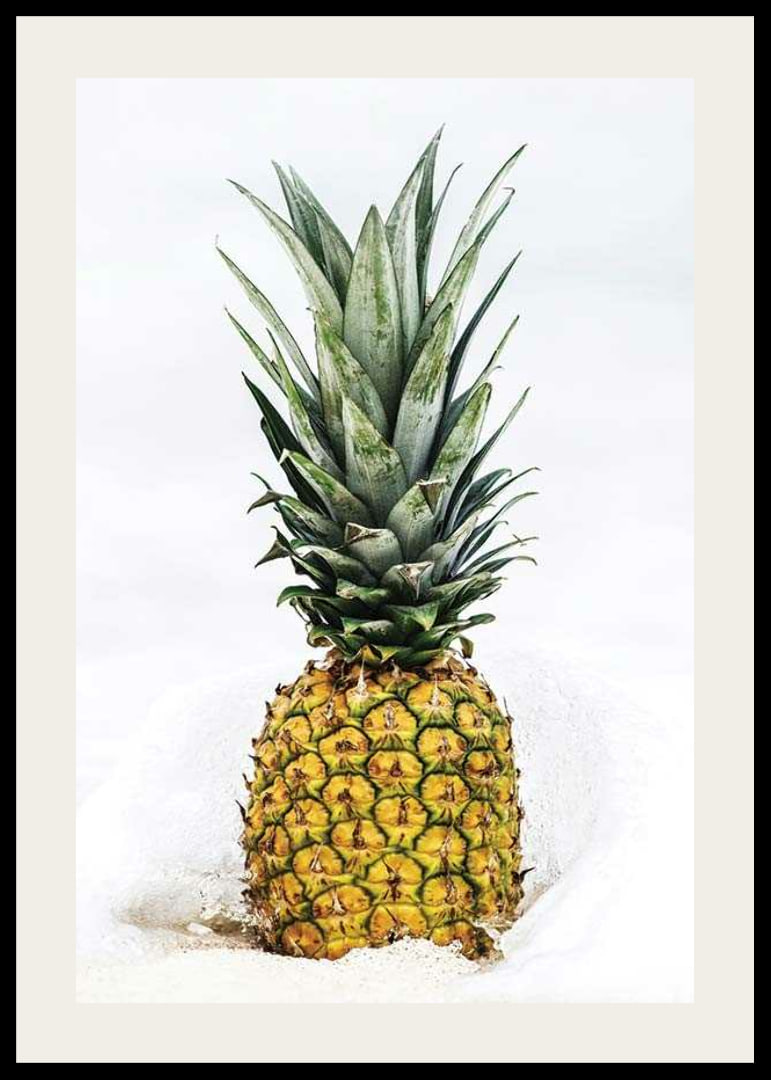Photographic pineapple in close-up against white background-12
