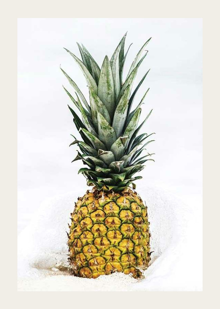 Photographic pineapple in close-up against white background-12