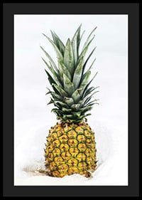 Photographic pineapple in close-up against white background-4
