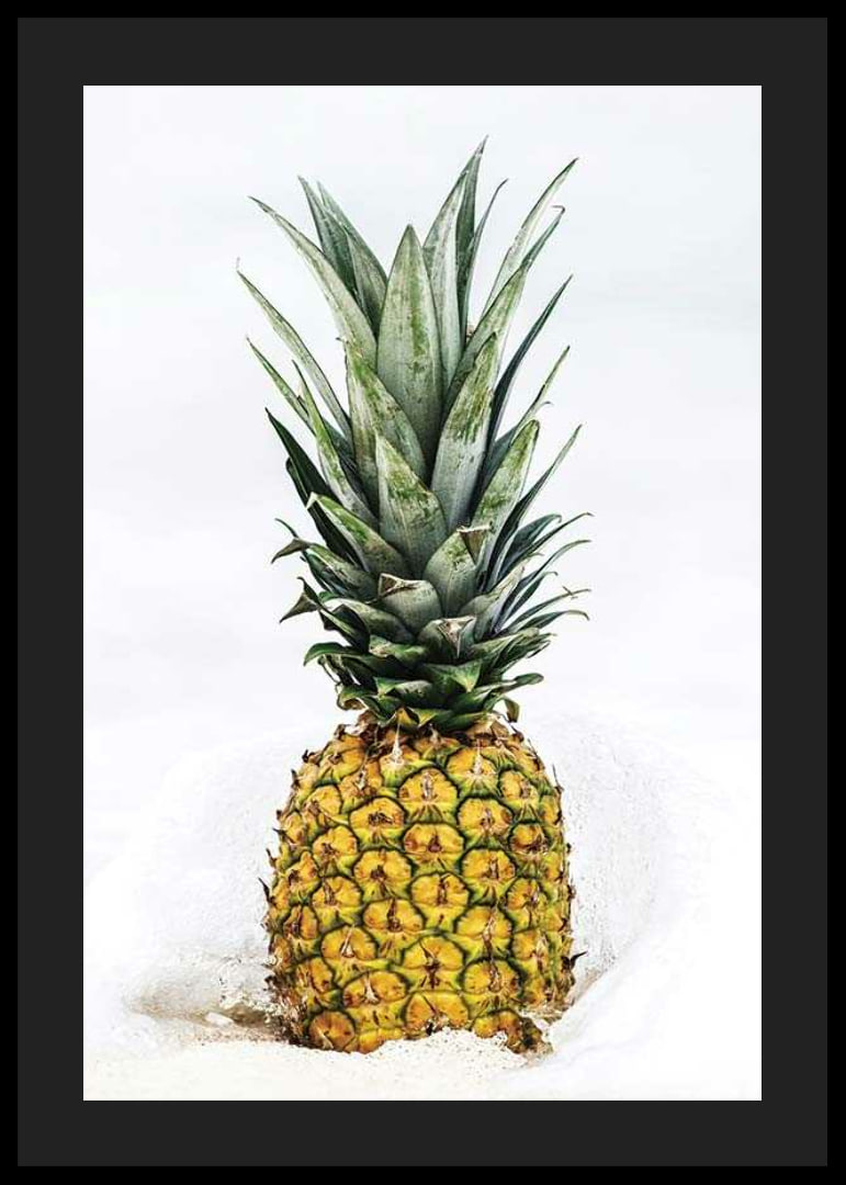 Photographic pineapple in close-up against white background-12