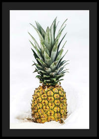 Fotograficzny ananas w zbliżeniu na białym tle-4