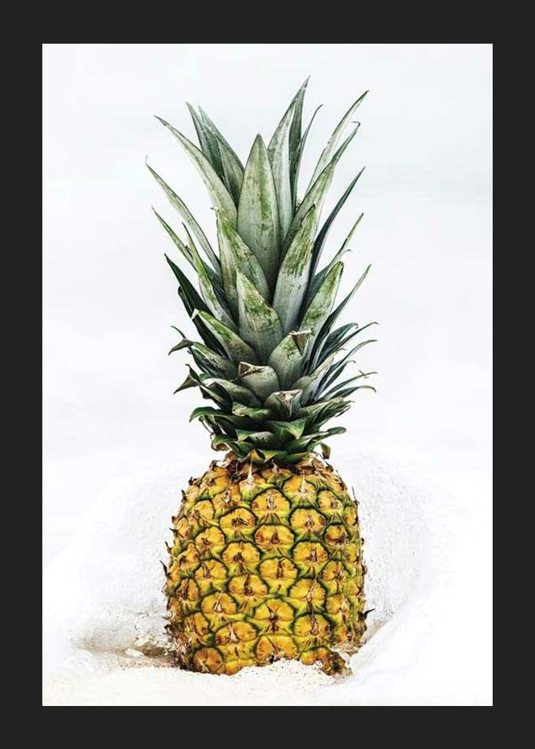 Photographic pineapple in close-up against white background-12