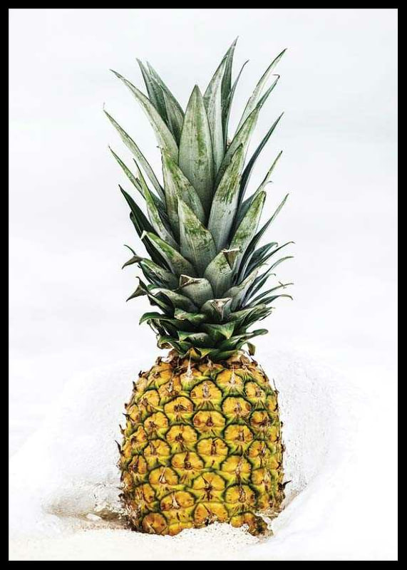 Photographic pineapple in close-up against white background-12