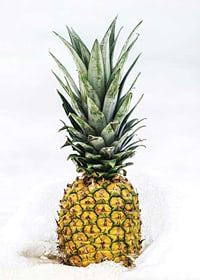 Photographic pineapple in close-up against white background-7