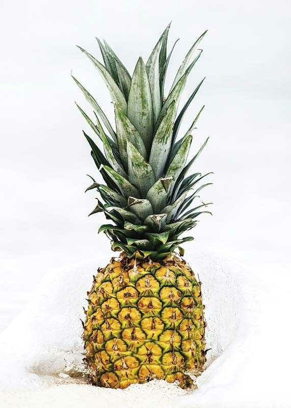 Pineapple-12