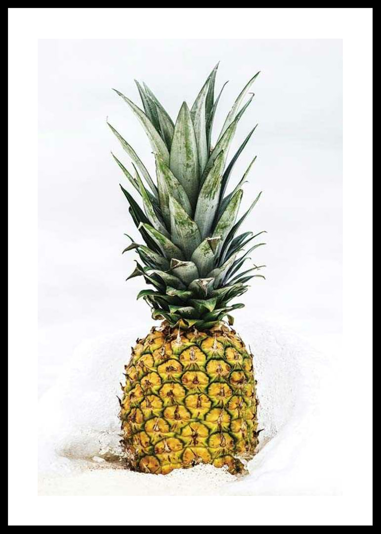 Photographic pineapple in close-up against white background-12